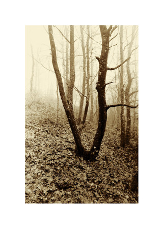 Jean-Loup Bernard